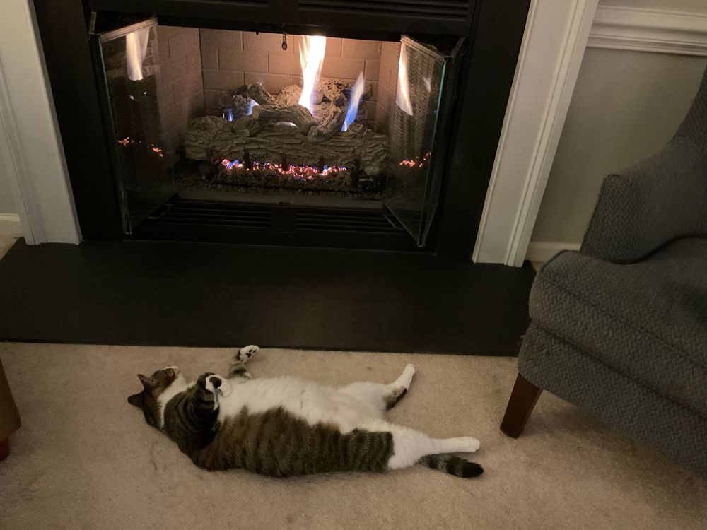 Cat flat on back in front of fireplace 