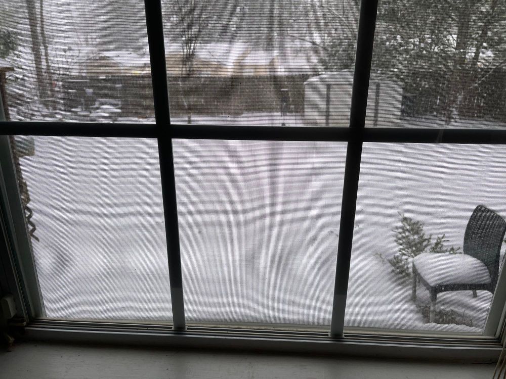 Dark brown dog looks out bedroom window to her back yard blanketed in snow, woofing uncertainly