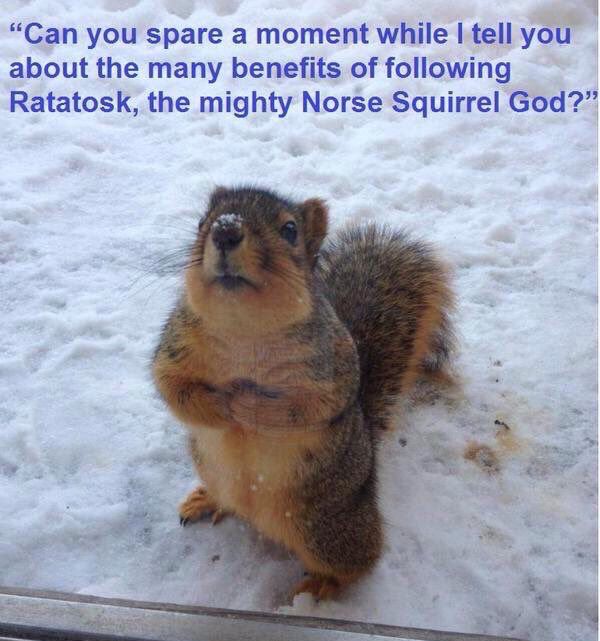 A squirrel stands at an outside door in winter, saying “Can you spare a moment while I tell you about the many benefits of following Ratatosk, the mighty Norse Squirrel God?”