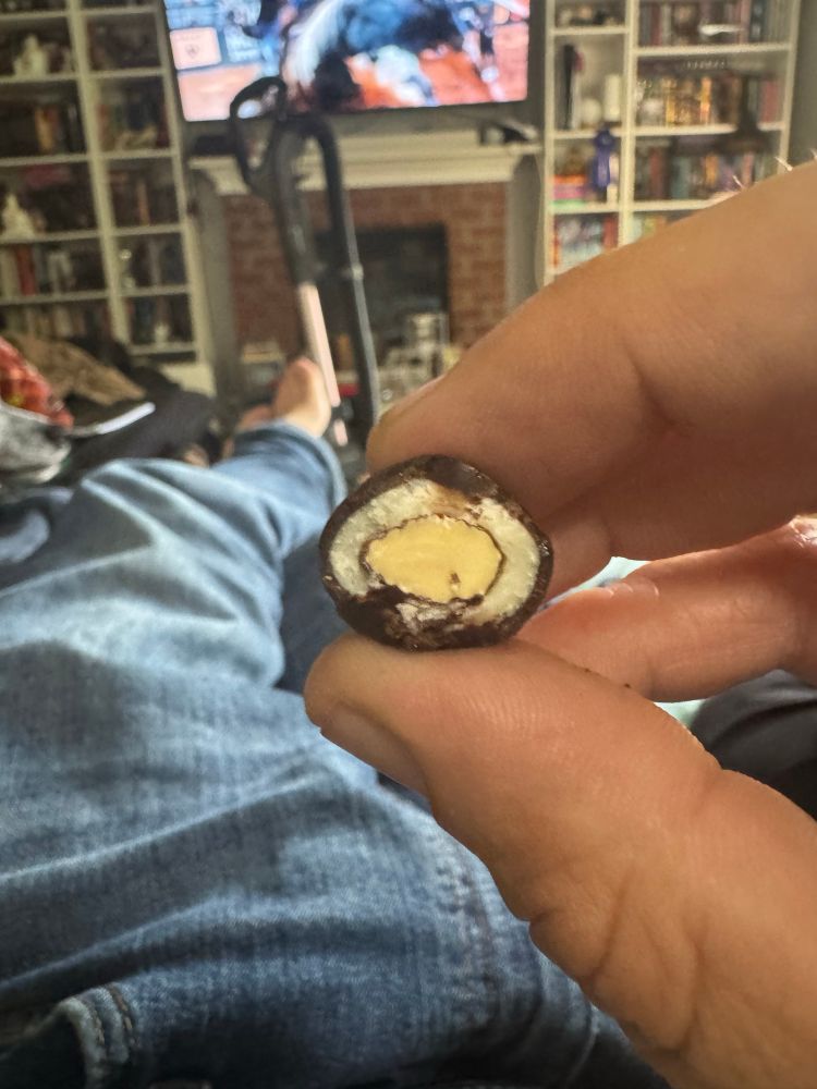One of the candies cut in half showing the distinct layers of almond, coconut, and chocolate 