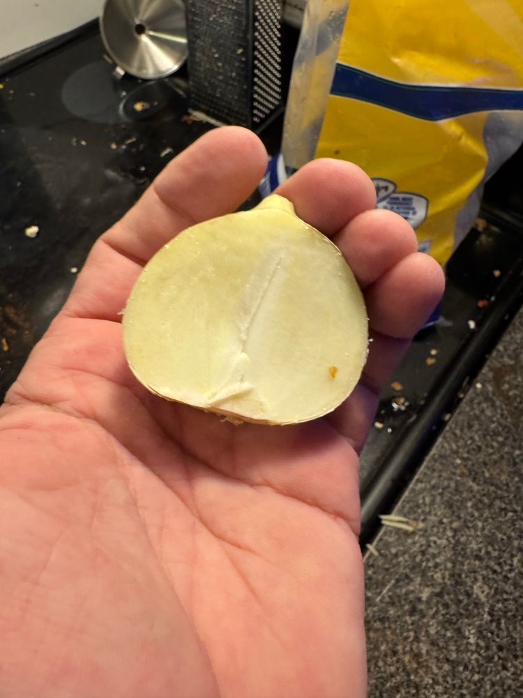 A garlic bulb cut in half with no noticeable cloves 