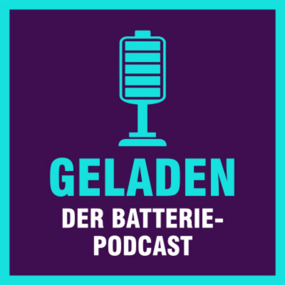 Deutschland, du "Strombettler"? - Prof. Burger & Dr. Kost - Geladen - der Batteriepodcast