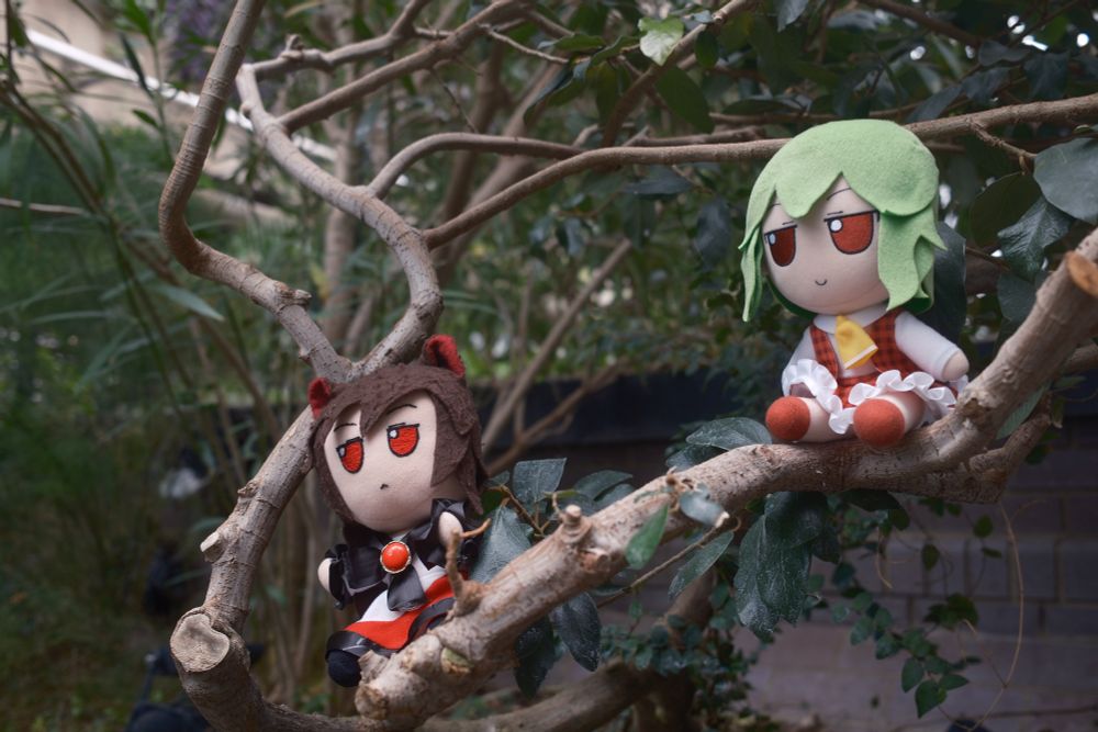 Kagerou and Yuuka perched on some tree branches.