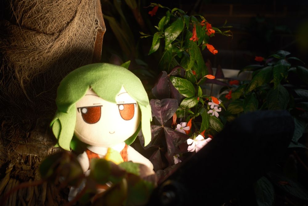 Yuuka brightly illuminated next to some red flowers.