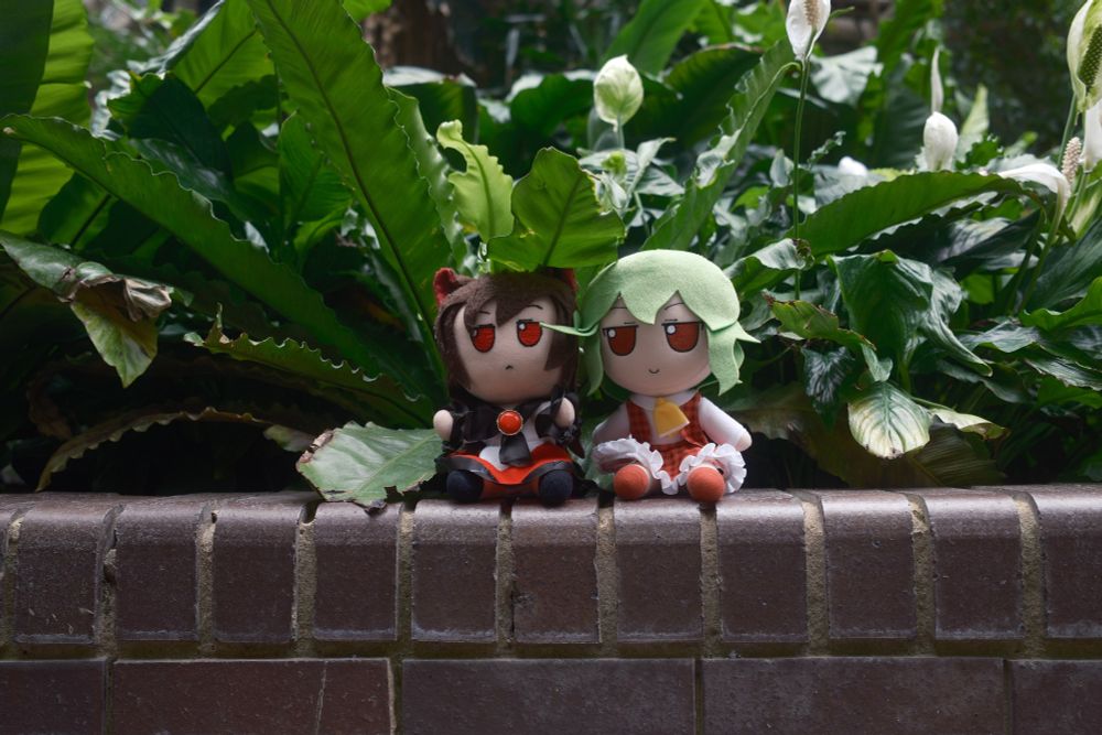 Kagerou and Yuuka sat on a brick wall under some leaves.