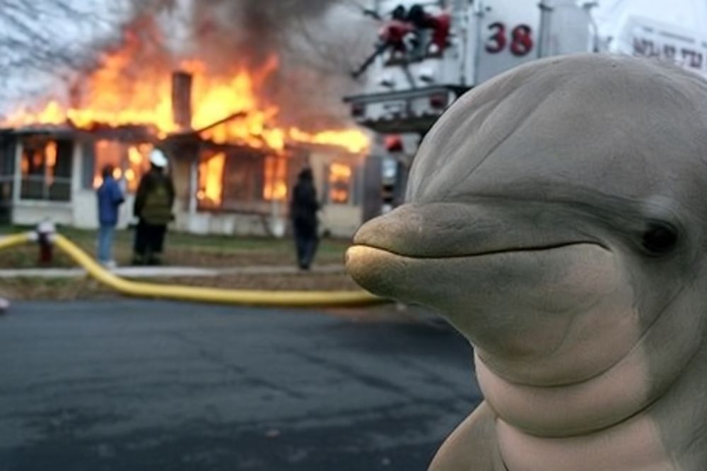 Ein Delphin steht vor einem brennende Haus. Entnommen einem meme
