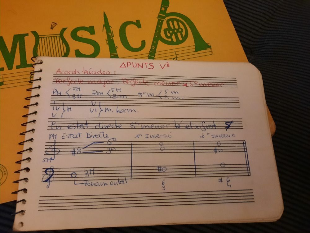 Apunts d'armonia en una llibreta de pentagrames. 