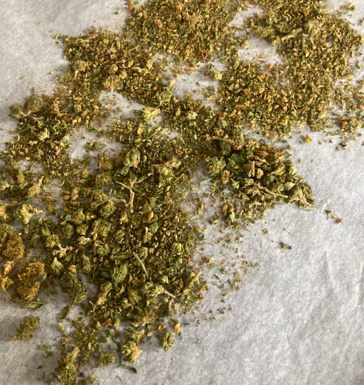 50% cannabis/ 50% hemp being readied to be infused into coconut oil for a friend. 