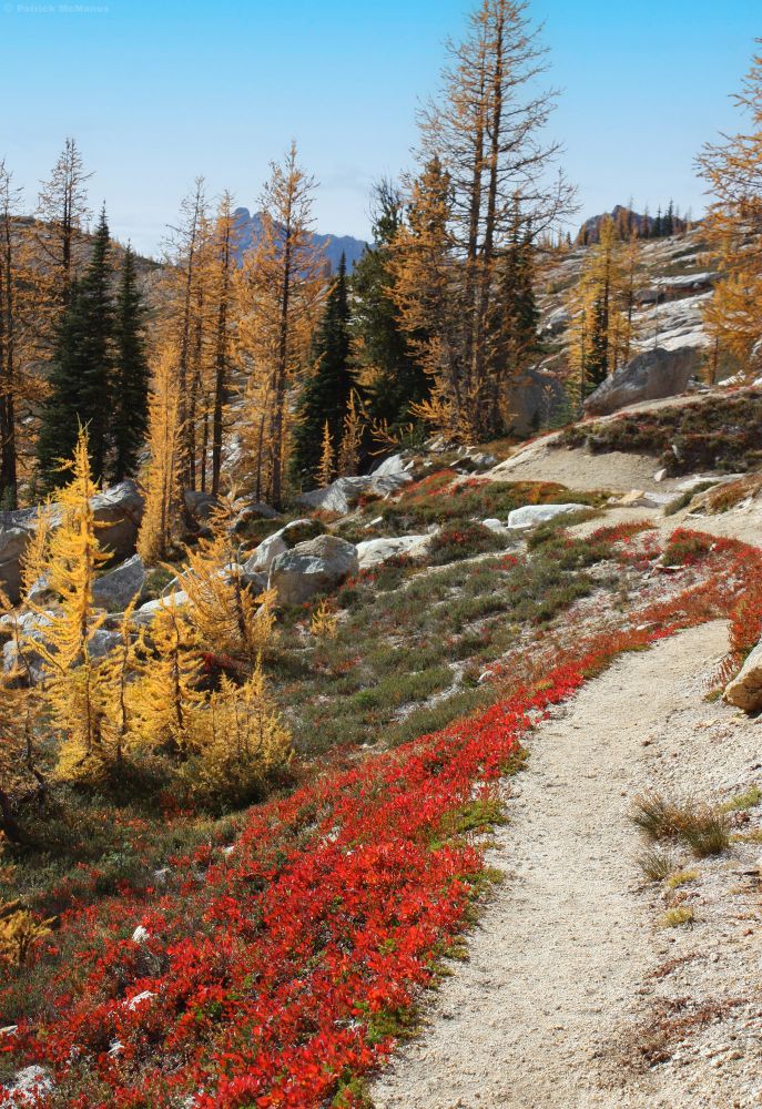 The Pacific Crest trail near Cutthroat Pass in the North Cascades area in Washington State.