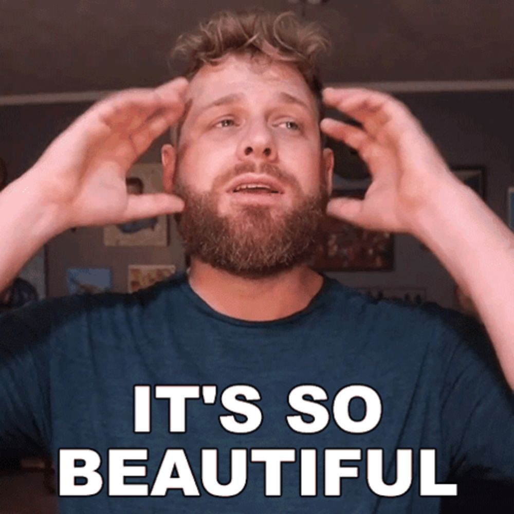 It'S So Beautiful Grady Smith GIF