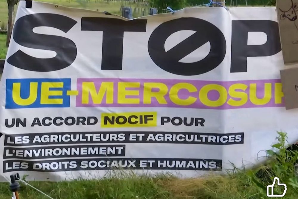 🐮 En Belgique, les vaches aussi disent NON à l'accord UE-Mercosur ! 👉 https://tinyurl.com/yw4xttrb  Action symbolique ce 24 juin 2025 à Grandvoir dans la province de Luxemboug pour interpeller les responsables politiques et les inciter à voter contre cet accord injuste qui menace l'agriculture durable, les droits des travailleurs·euses, la santé et l'environnement, pour le seul profit de quelques multinationales.   #StopUEmercosur #JeDisStopUEmercosur #StopEUMercosur  https://StopEUMercosur.org
