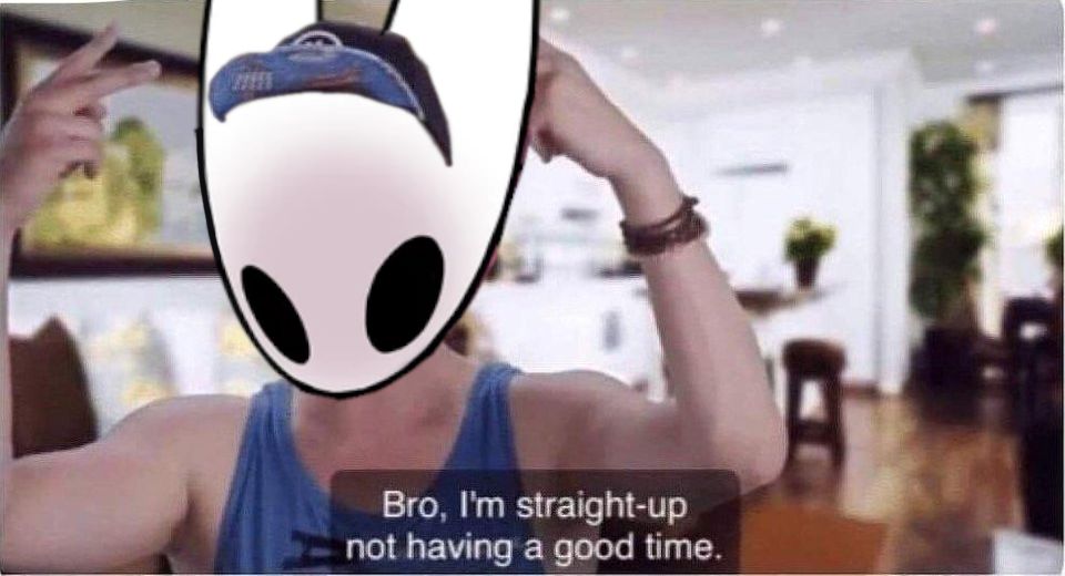 The meme of from the Real Bros of Simi Valley of Johnny saying "Bro, I'm straight up not having a good time" but his head is replaced with Hornet from Hollow Knight