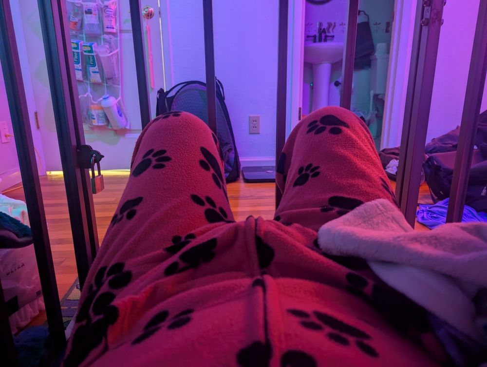 A photo of me from the waist down wearing pink footie pajamas while locked in a cage.
