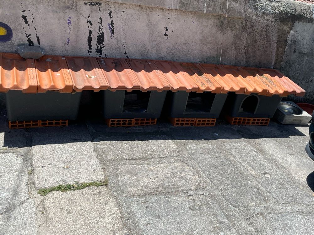 Kleine graue Kisten mit rotem Ziegeldach die als Unterkunft für Streunerkatzen in Porto verwendet werden.