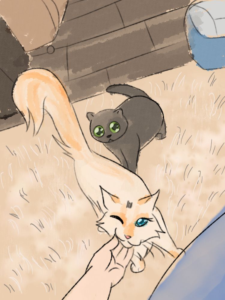 An illustration of the previous photo. The flame point cats is is depicted as being graceful, silky, and beautiful, whereas the gray cat is round, small, and looks like its about to burst into tears at any moment.