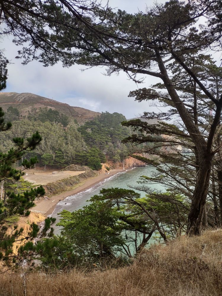 Pov looking south and down to a cove with a short cliff and short beach with surrounding green trees and dry grass under a mostly grey sky; foreground of the edge of a steep hill with dry grass and green framing the view of the cove