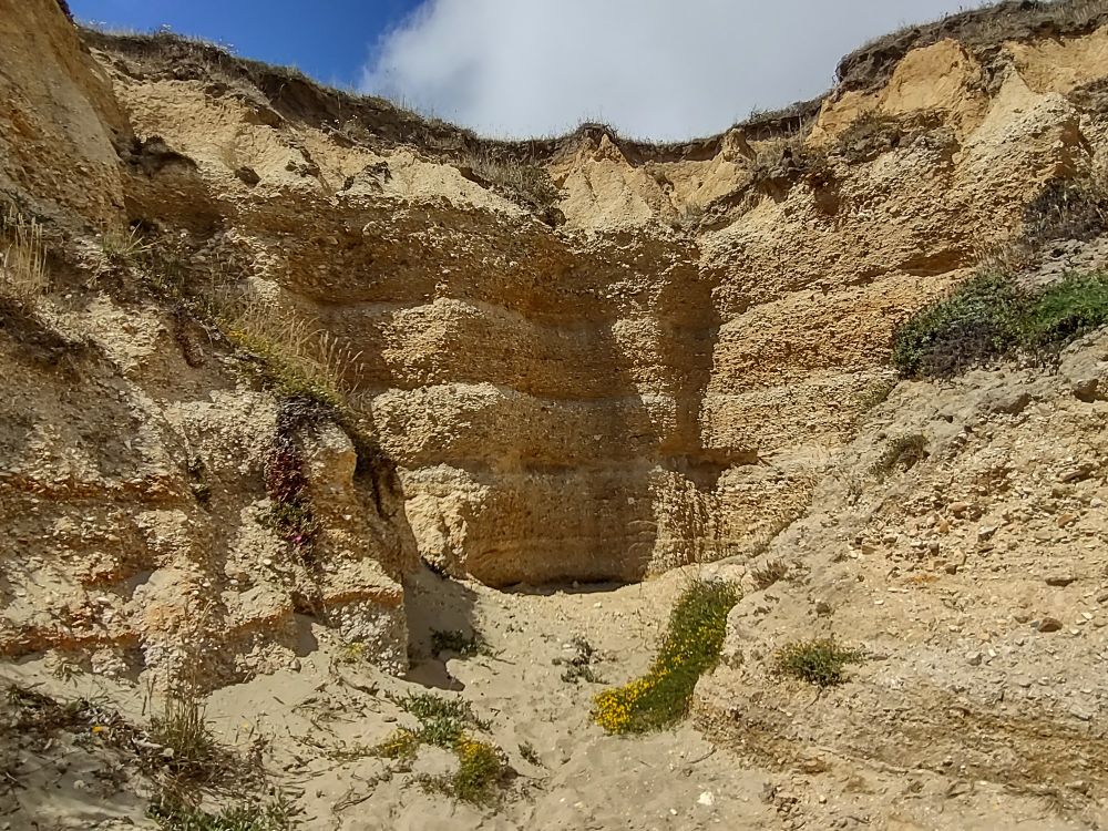 Shortish cliff side with visible sediment layers, oddly carved by the sea and erosion creating a roofless cave, little bits of brush with yellow blossoms around, under blue sky with some clouds