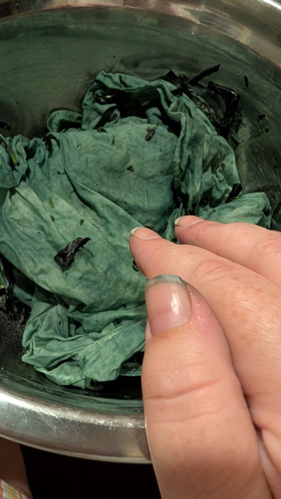 A metal bowl with a scrunched up cloth and shredded leaves. The cloth is a deep rich teal. My hand is on the side of the bowl, showing where my thumbnail turned the same color from cutting leaves off stems.