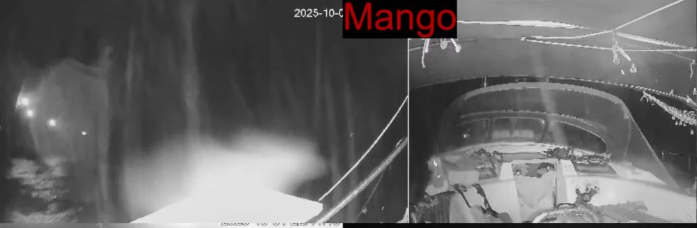 Water canons of some type of liquid being shot at the boat Mango. 