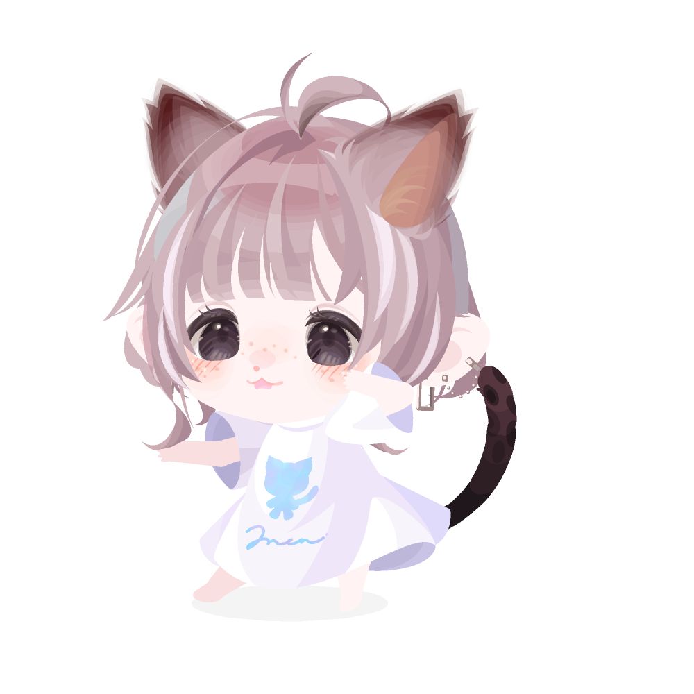 好きで固めたからコンセプトとか拘りとかない