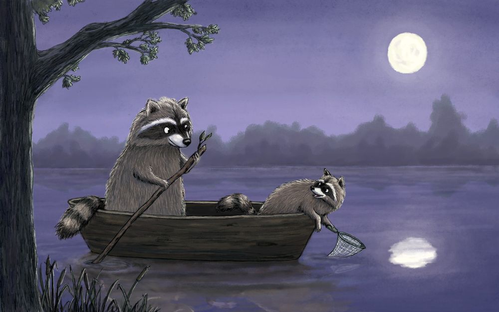Parent raccoon and kid raccoon in a boat with the moon reflecting on the water. Kid raccoon has net to try to catch the reflection. Art by Abi Cushman.