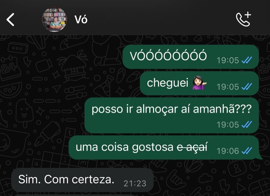 printscreen de uma conversa no whatsapp com o contato "vó" em que pergunto animada se posso almoçar na casa dela e a resposta é "sim. com certeza." muito séria