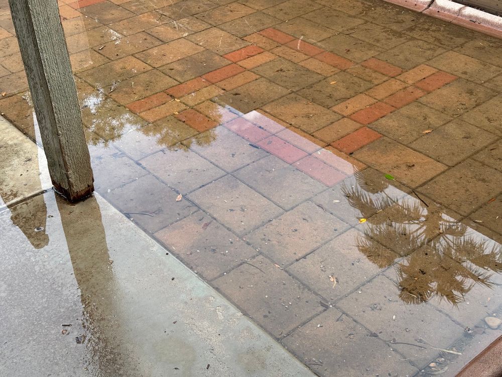 A patio, half cement and half pavers, most of it covered in a fair bit of water, with the reflection of some trees and palm branches in the water over the pavers. The water is maybe 1/2” deep at its deepest.