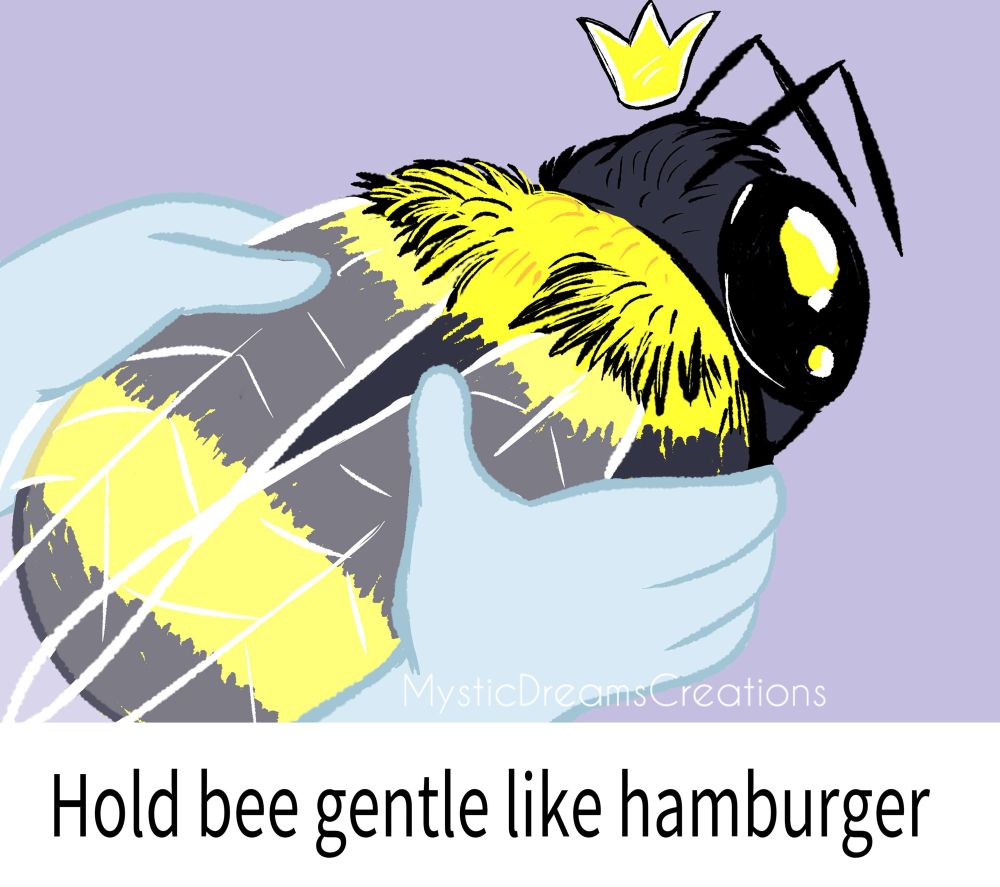 Hold Bee Gentle like Hamburger Meme 

An oversized bee being held gently 