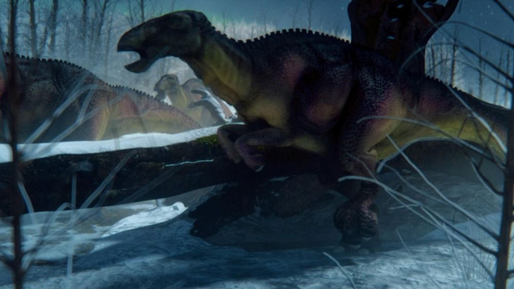 What Did Dinosaurs in Alaska Eat During Winter?