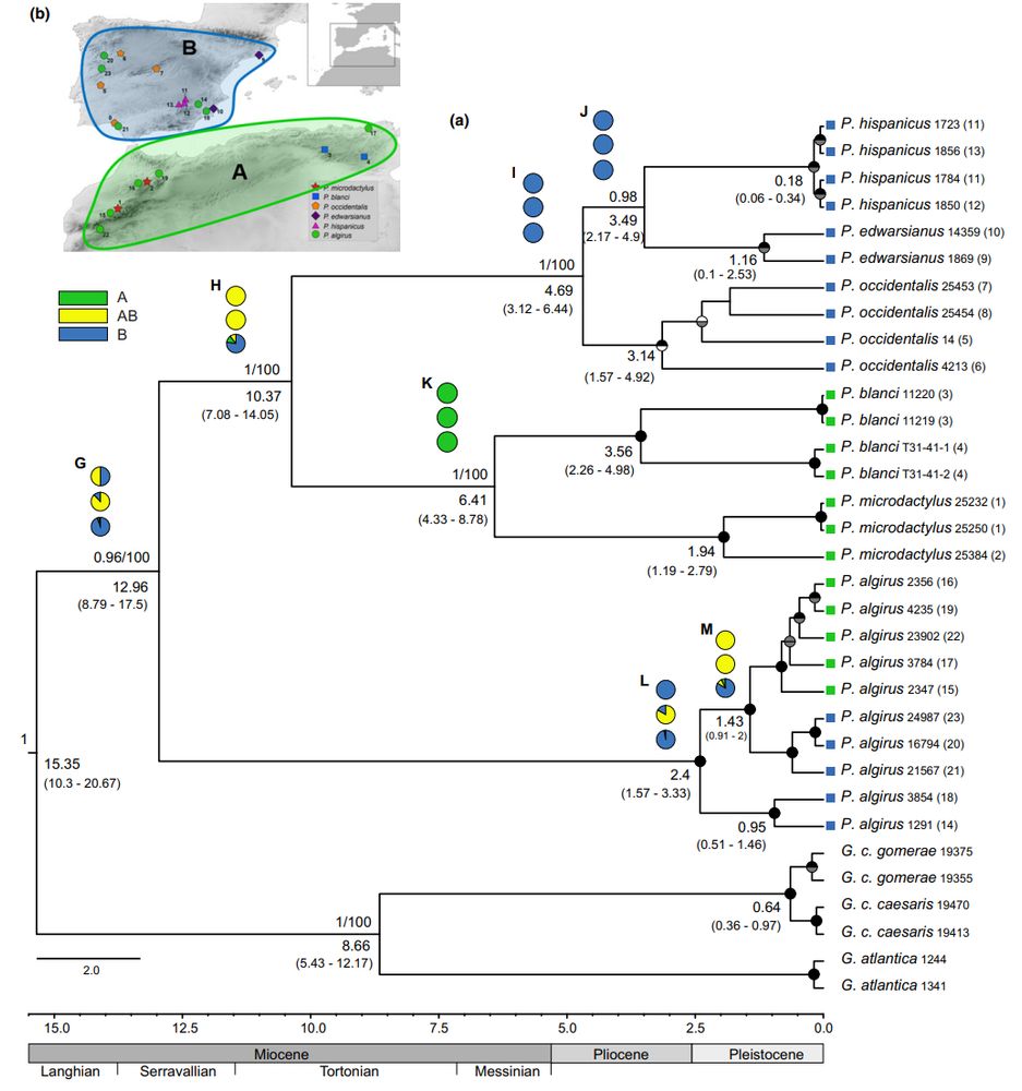  Mendes et al. (2017)