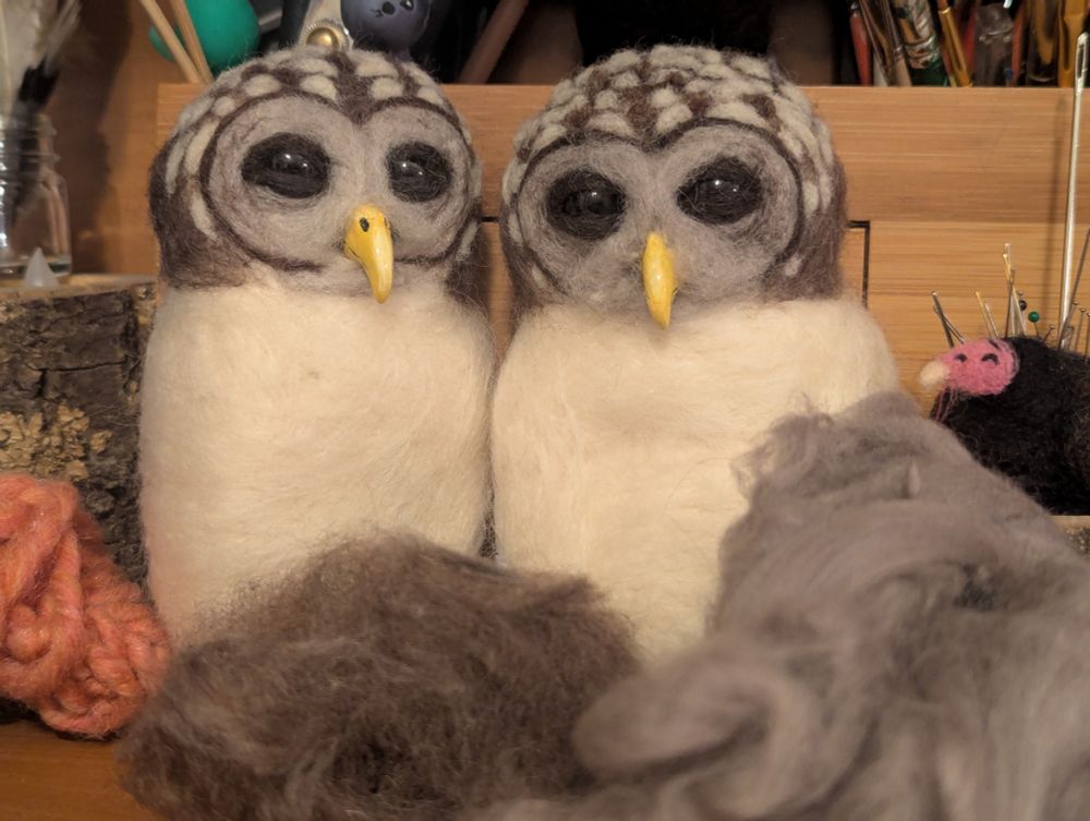 Two barred owl fledglings in progress, needle-felted.