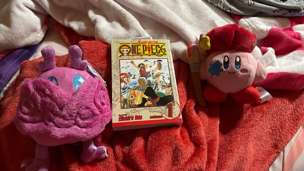 a pink moth plushie, volume 1 of the one piece manga, and a painter kirby plushie