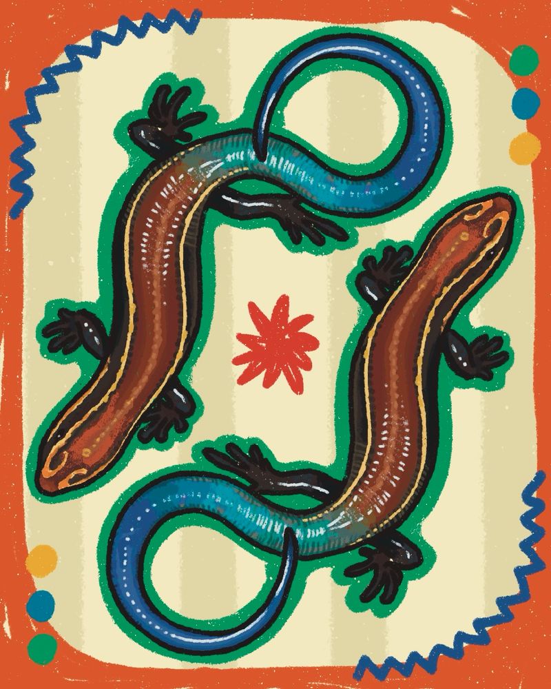 A digital illustration of two coal skinks