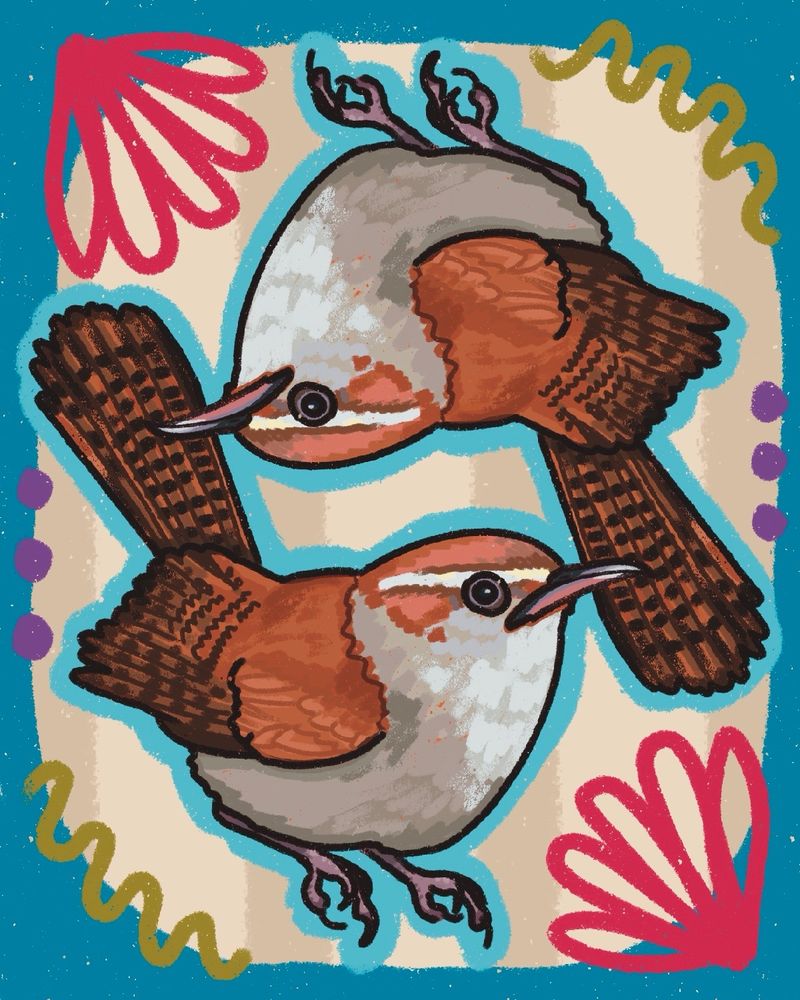 A digital illustration of Bewick’s Wren, a bird listed as State Endangered in the state of South Carolina 