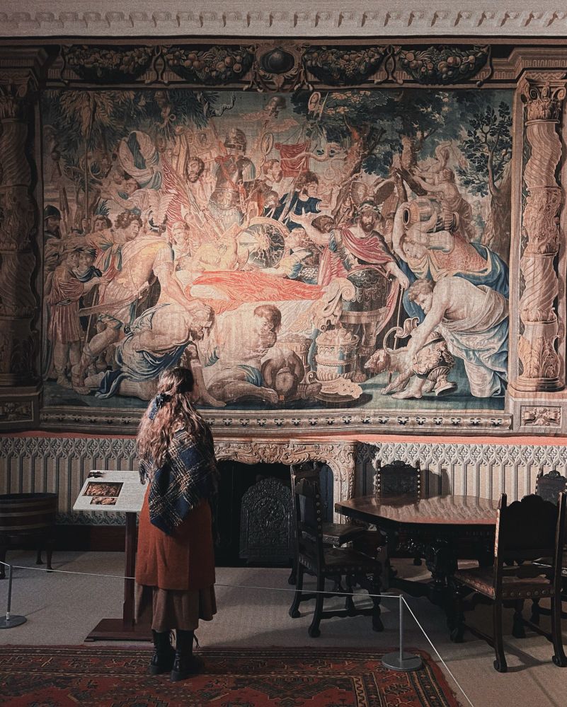 Julie looking at a tapestry at Kilkenny Castle