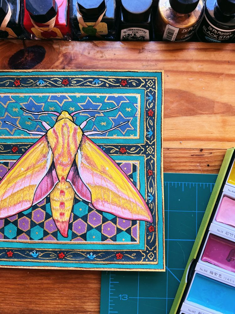 A gouache and watercolor painting on a square piece of archival paper. The painting features an elephant hawk moth, a bright yellow, olive and pink moth, against a background pattern of bold colors and gold inspired by illuminated medieval manuscripts. 