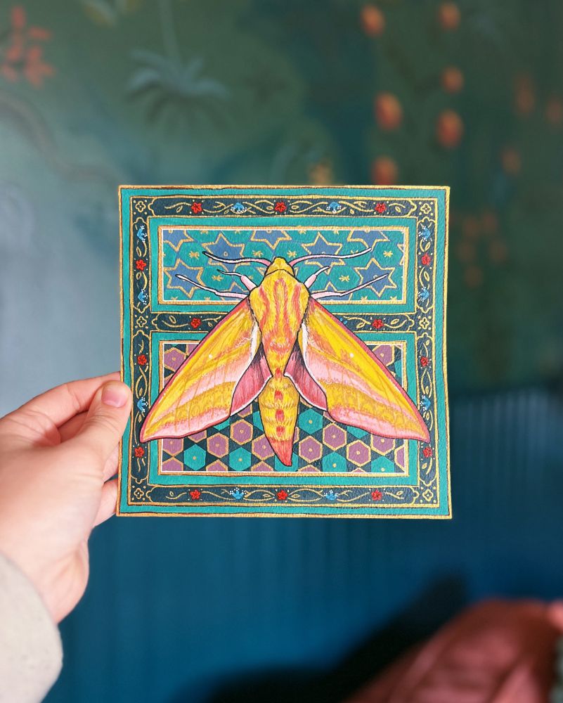 A gouache and watercolor painting on a square piece of archival paper. The painting features an elephant hawk moth, a bright yellow, olive and pink moth, against a background pattern of bold colors and gold inspired by illuminated medieval manuscripts. 