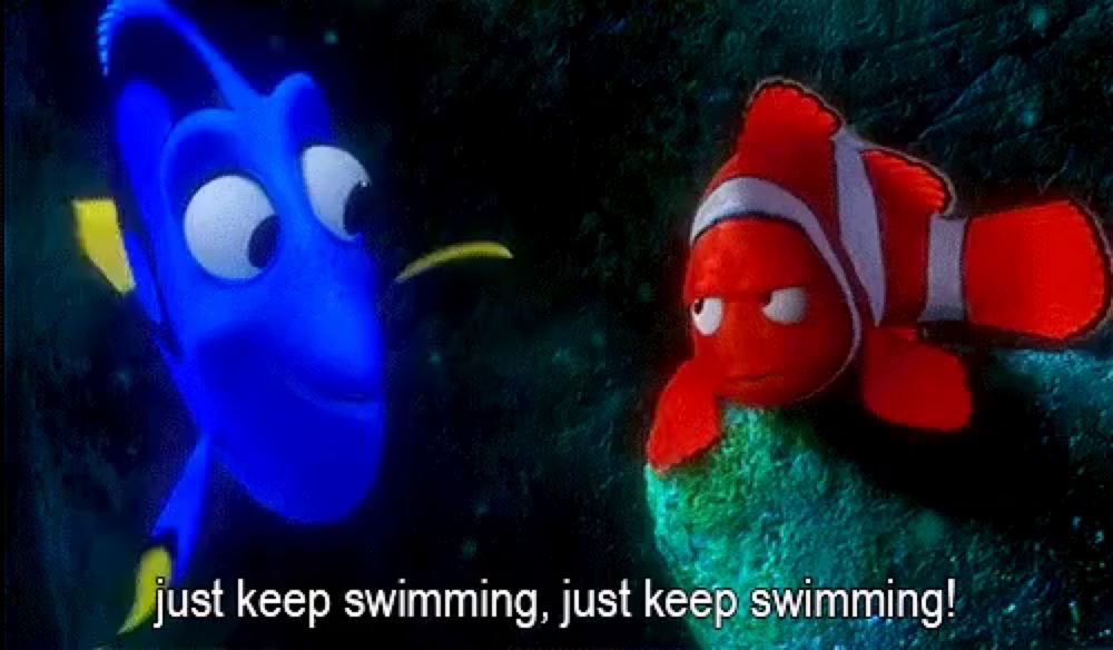 Dory Marlin GIF