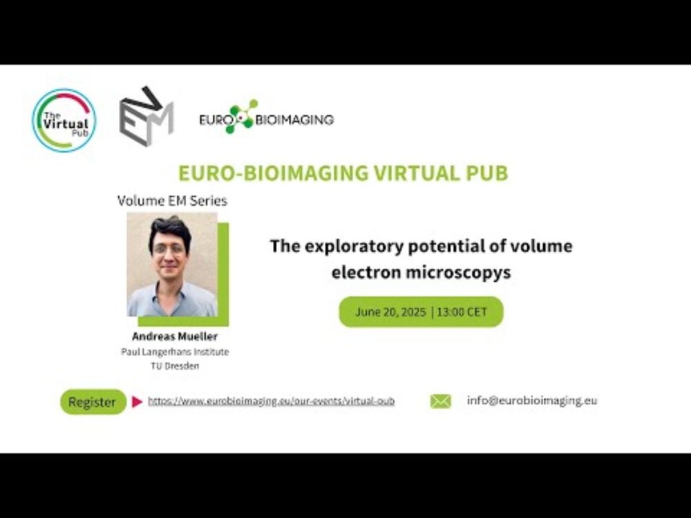 The exploratory potential of volume electron microscopy