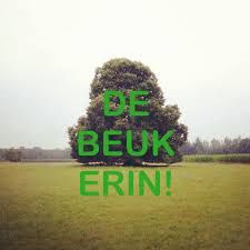 Comment image