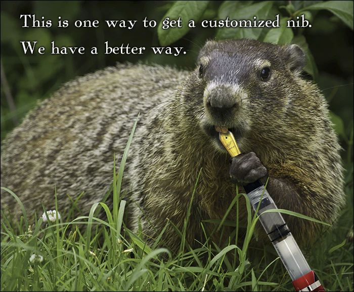 a shopped image of a beaver apparently chewing on the nib of a fountain pen with the text "This is one way to get a customized nib. We have a better way."