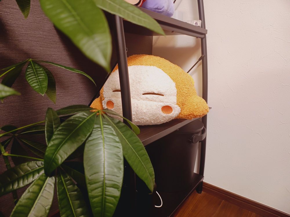 ゲーセンで100円で取れてしまったワドルディ。とてもかわいい