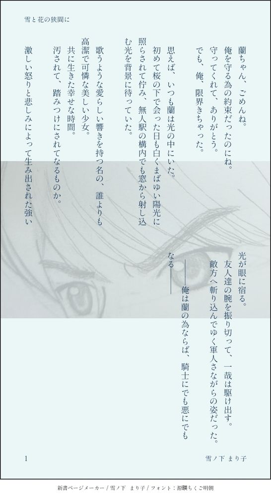 蘭ちゃん、ごめんね。
俺を守る為の約束だったのにね。
守ってくれて、ありがとう。
でも、俺、限界きちゃった。

画像は文庫ページメーカーで作成