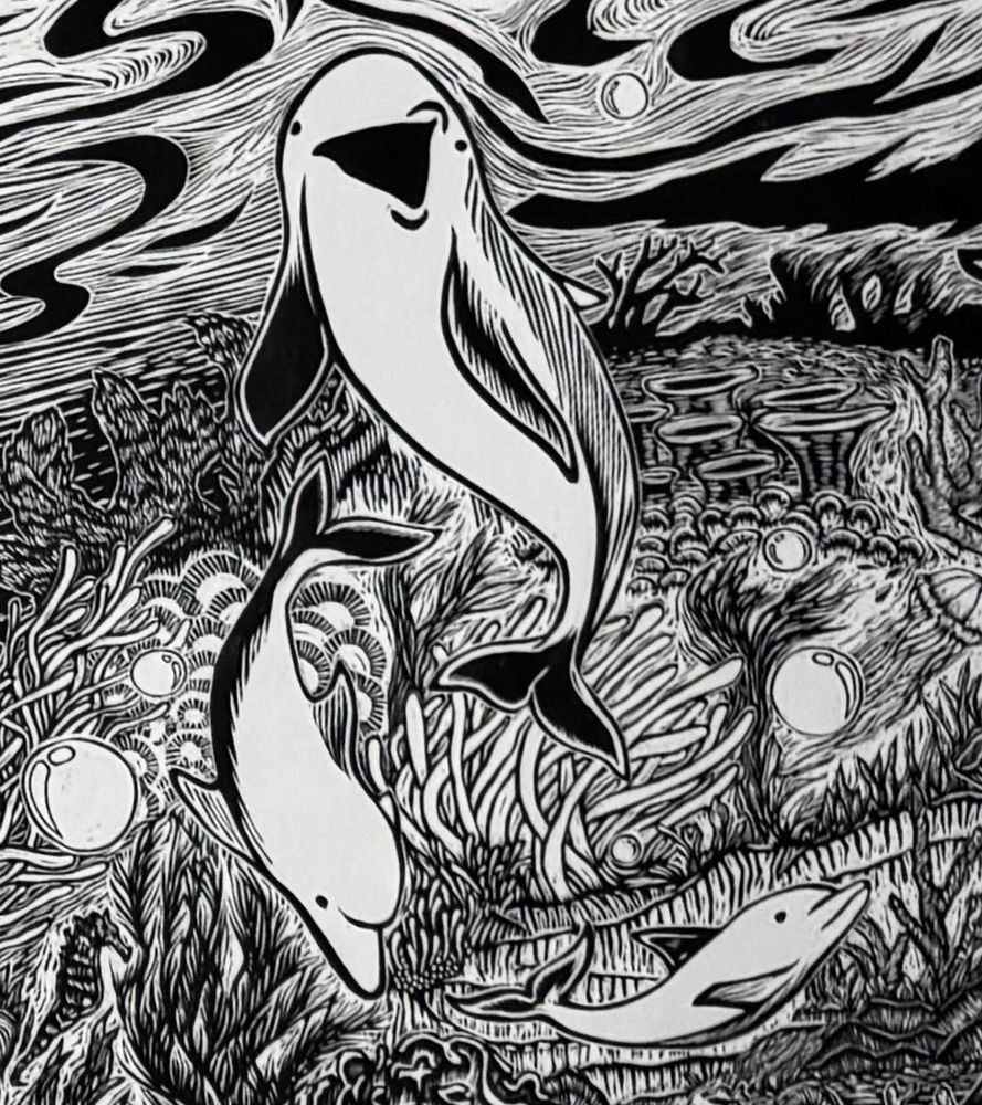 Black-and-white artwork - a woodcut print. A large dolphin looks directly at the viewer, as two smaller dolphins swim happily above the vibrant reef below. What does the dolphin wish to tell us?