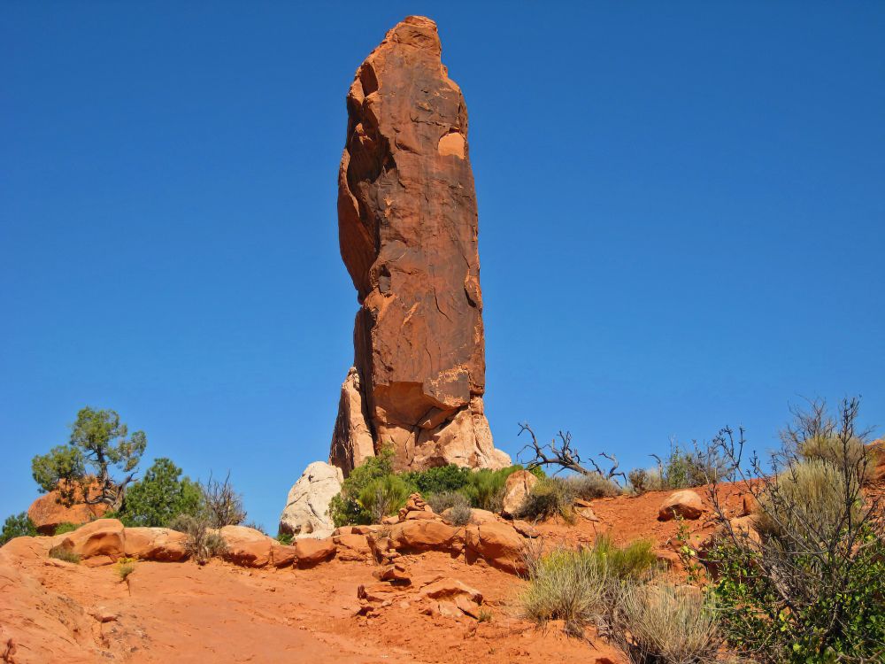 A narrow near-rectangular rock formation reaches up to the sky. It stands atop a red dirt slope. The base of the formation is light coloured, but turns dark with desert varnish a few feet off the ground. Small shrubs are scattered around the rick. A cloudless blue sky forms the background. And no-one is considering the possibility of an orange fool as US President.