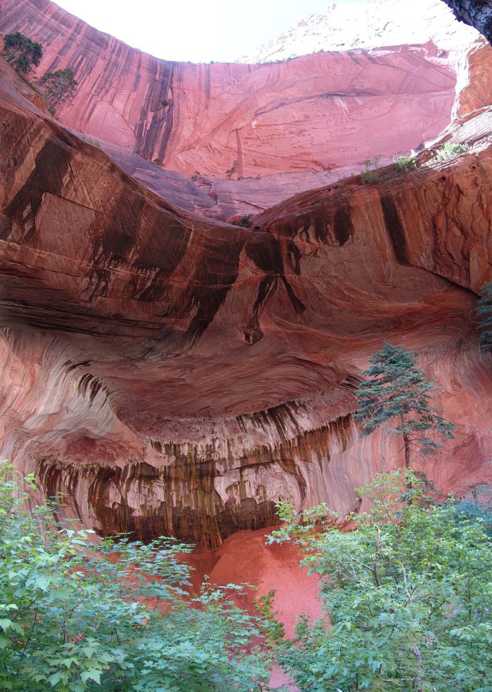 Looking into an alcove in red sandstone. Tree branches covered with fresh green leaves are in the foreground. The red rock is streaked with desert varnish. Deep in the alcove, the dark streaks are from water seeping through the rock. At the top of the image the red rock and the small patch of sky turn white (overexposure of that part of the image)