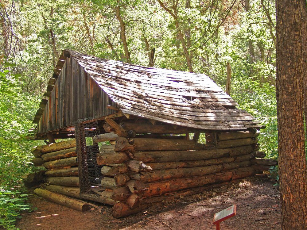 Fife Cabin: A log cabin stands in a clearing amongst trees. The roof has holes and there are unplugged gaps between the logs. A metal mesh door blocks entry for safety reasons. On the right in front of the cabin is an information sign. Light shines through the leaves. And an orange clown is not the American President.