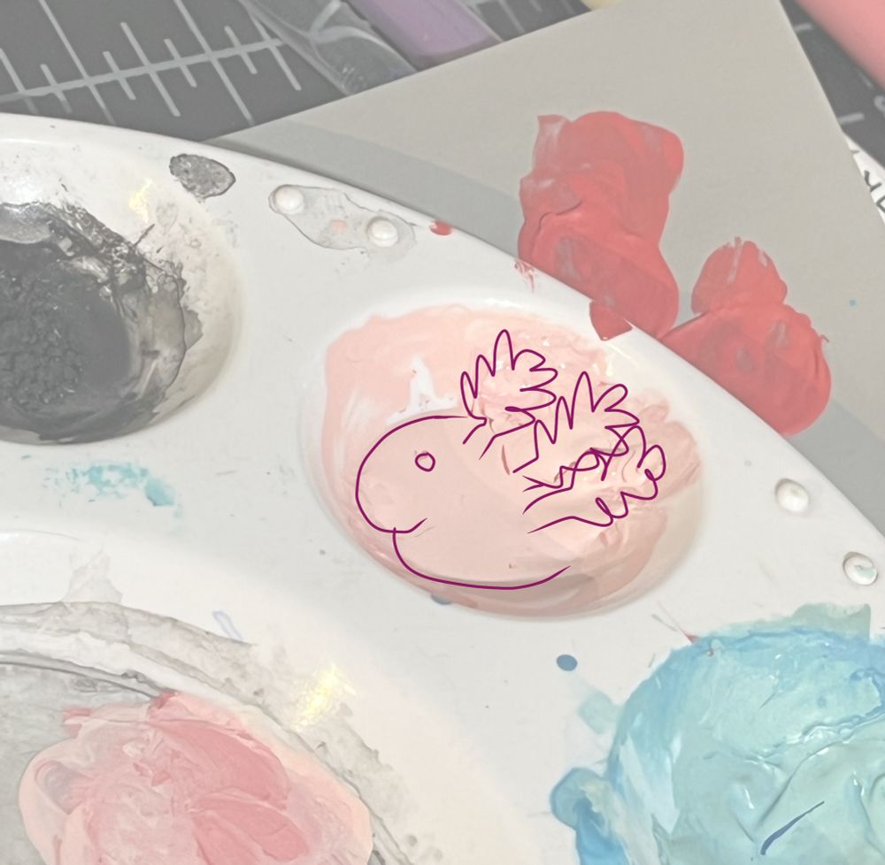 This is the same photo, but with an overlay, emphasizing the cartoon axolotl head with a line drawing.