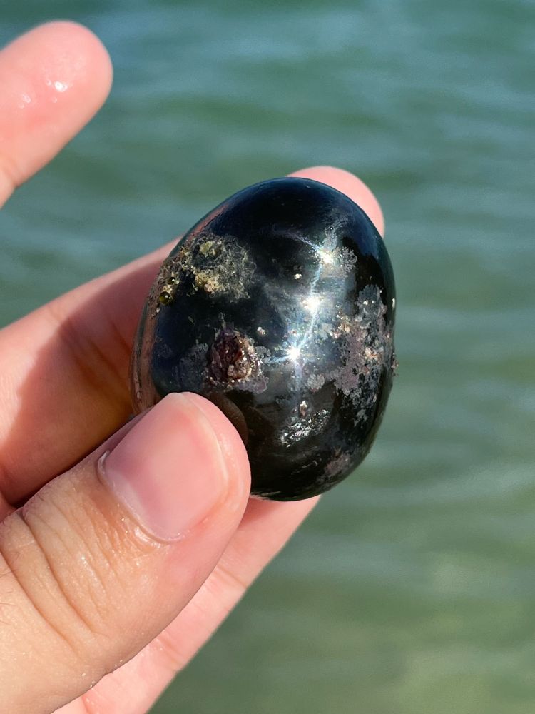 Photo of a hand holding up a shiny, dark, roughly spherical (or egg-shaped) object in front of a green ocean. This is called a sailor's eyeball or bubble algae