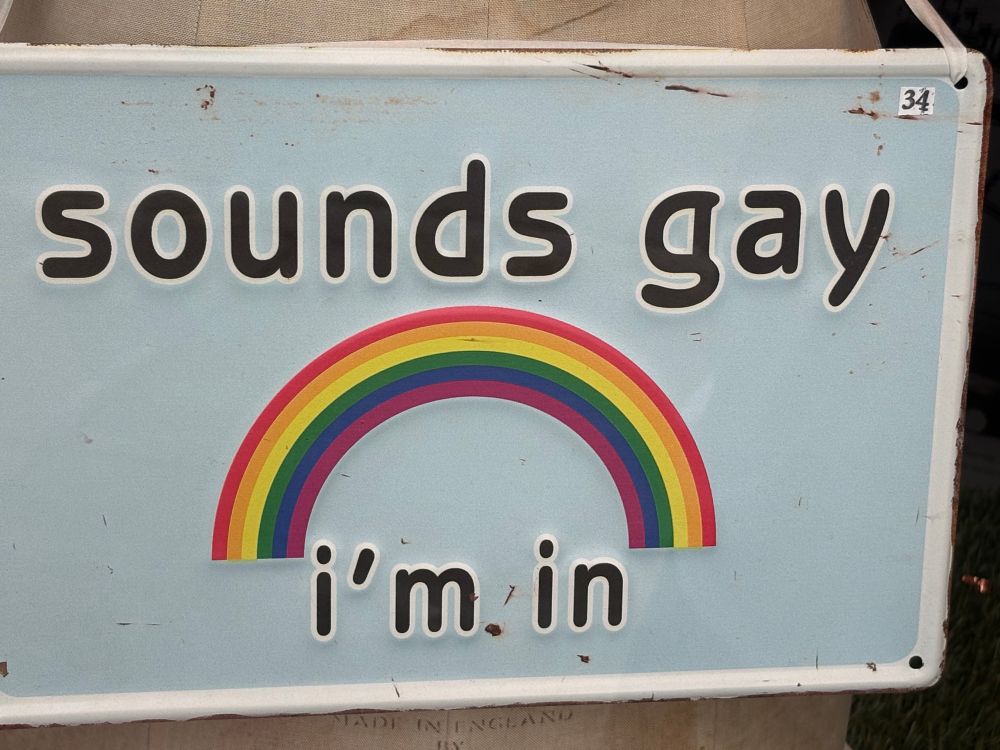 A metal sign resembling a license plate featuring a rainbow and the inscription, “sounds gay I’m in”